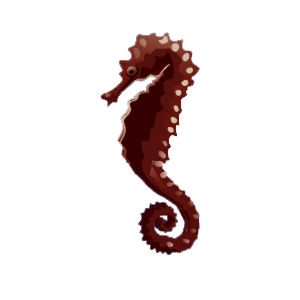 Chocolate Sea Horse